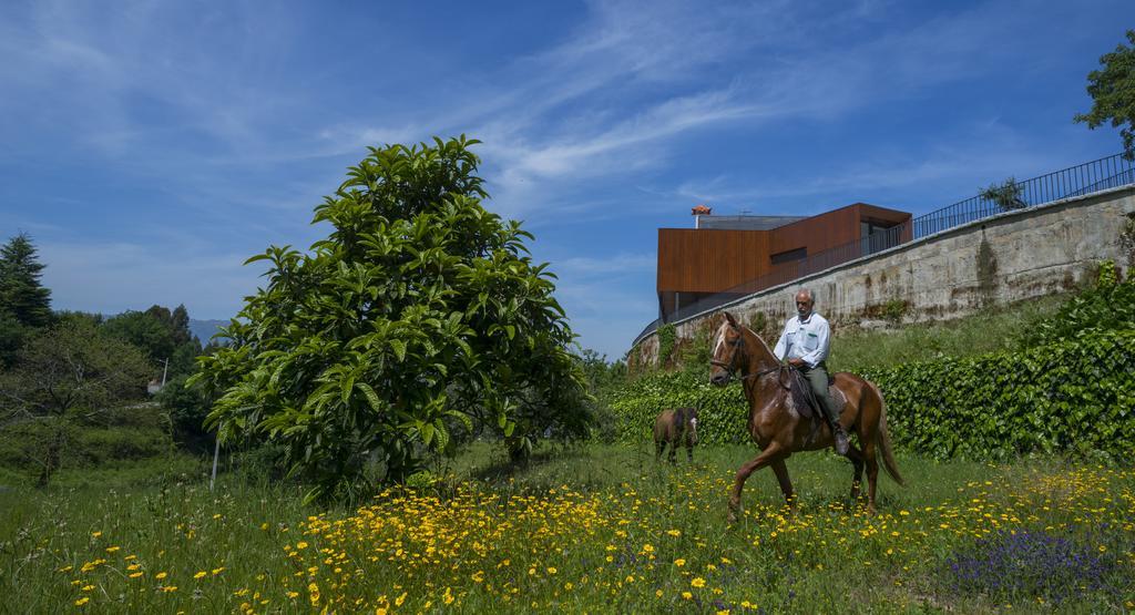 Quinta Do Fontelo Villa โวเซลา ภายนอก รูปภาพ