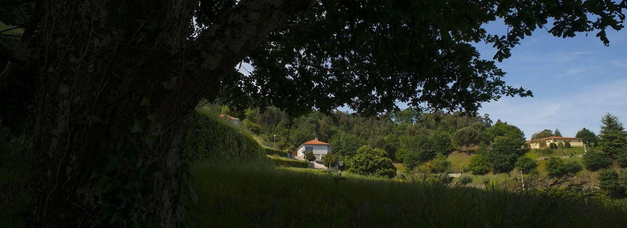 Quinta Do Fontelo Villa โวเซลา ภายนอก รูปภาพ