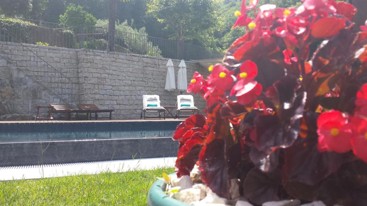Quinta Do Fontelo Villa โวเซลา ภายนอก รูปภาพ